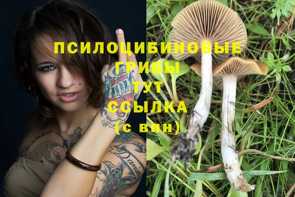 spice Киренск