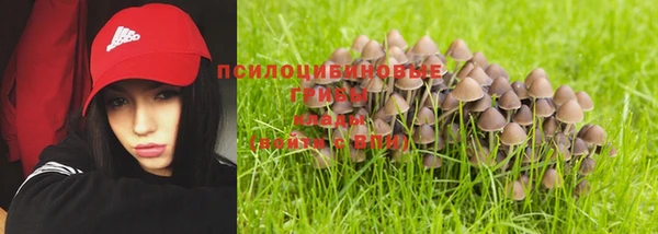 spice Киренск